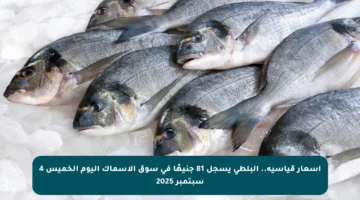 أسعار قياسية.. البلطي يسجل 81 جنيهًا في سوق الأسماك اليوم الخميس 4 سبتمبر 2025